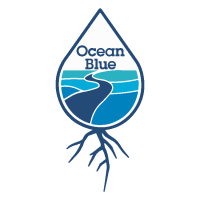 Blue ocean's million dollar donation voyage