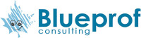 Blueprof consulting inc.