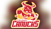 Calgary canucks jr. a team
