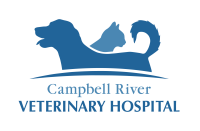 Campbell river veterinary hospital