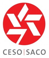 Ceso (canadian executive service organization)