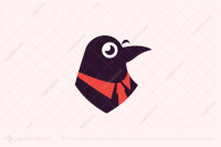 Clever crow