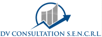 Dv consultation s.e.n.c.r.l.
