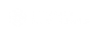 Elite sports therapy