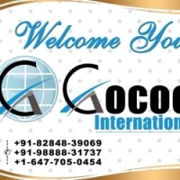 Gocool international
