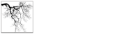 Holli benjamin horticulture design