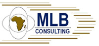 Mlb consulting