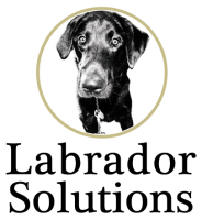 Labrador solutions