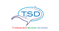 Thresher shark divers