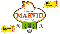 Marvid
