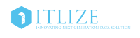 Itlize global llc