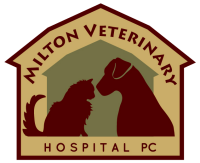 Milton equine veterinary clinic