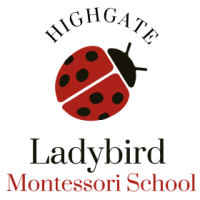 Ladybird montessori school