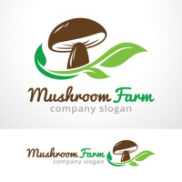 Mushroom global