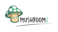 Mushroom media group