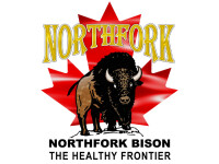 Northfork bison distribution