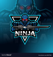 Ninja robot dinosaur