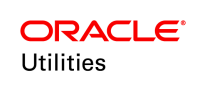 Oracle energy services