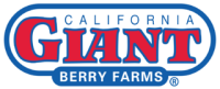 California giant