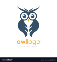 Owl business solutions