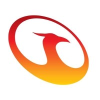Phoenix optical