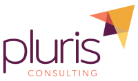 Pluris consulting