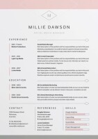 Pro resume write