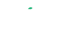 Regent capital partners inc.