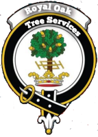 Royal oak tree services