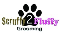Scruffy to fluffy dog grooming