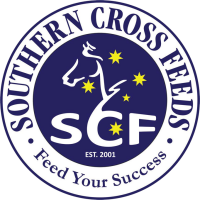 Southern cross equestrian