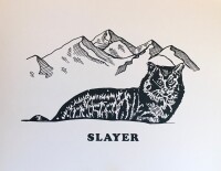Storm slayers