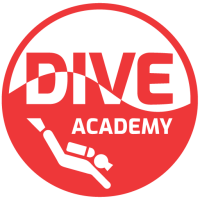 The dive academy inc.