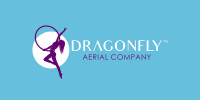 Dragonfly gallery