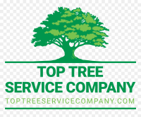 Tree top services