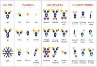 Trispecific