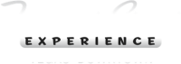 Fremont street experience