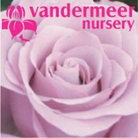 Vandermeer greenhouses