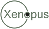 Xenopus