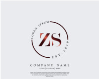 Zs copy