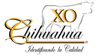 Xo de chihuahua