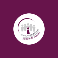 Consejo ciudadano de seguridad y justicia
