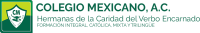 Colegio mexicano a.c. ccvi