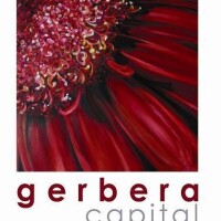 Gerbera capital