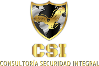 Csi consultores en seguridad integral