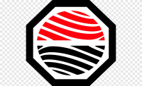 Rotomex