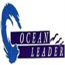 Ocean leader s.a. de c.v.