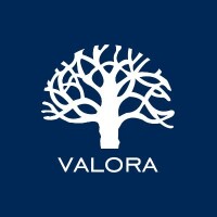 Valorsa consultores