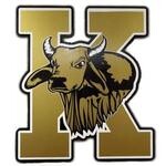Kingsville independent school
