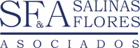 Salinas flores & asociados s.c.